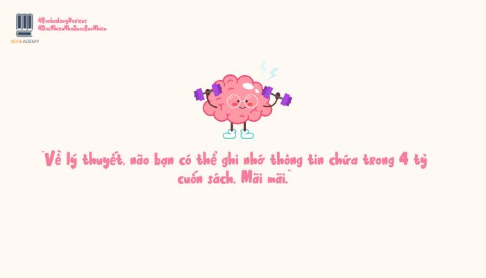 [Tóm Tắt & Review Sách] "Đọc Nhiều Nhớ Được Bao Nhiêu?": Dung Lượng Bộ Não Vô Hạn Của Con Người Có Nên Để Lãng Phí? - YBOX
