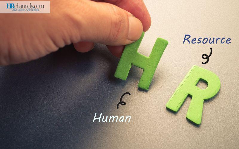 HR là gì? Tất tần tật về ngành Nhân Sự