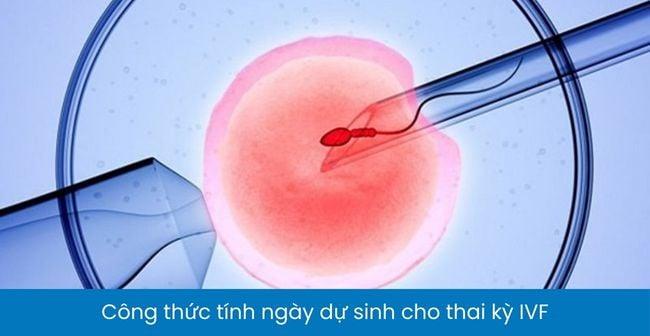 Ngày dự sinh là gì?