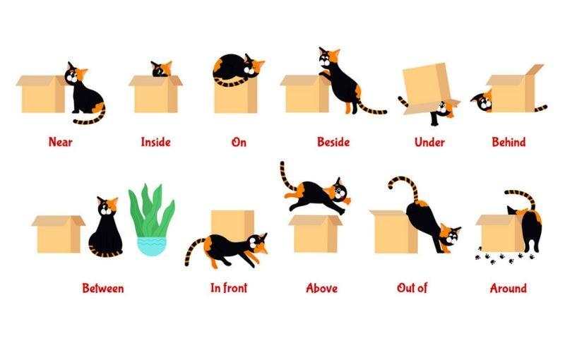 Giới từ chỉ vị trí và cách phân biệt khi sử dụng