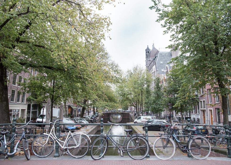 TRIP TO THE NETHERLANDS