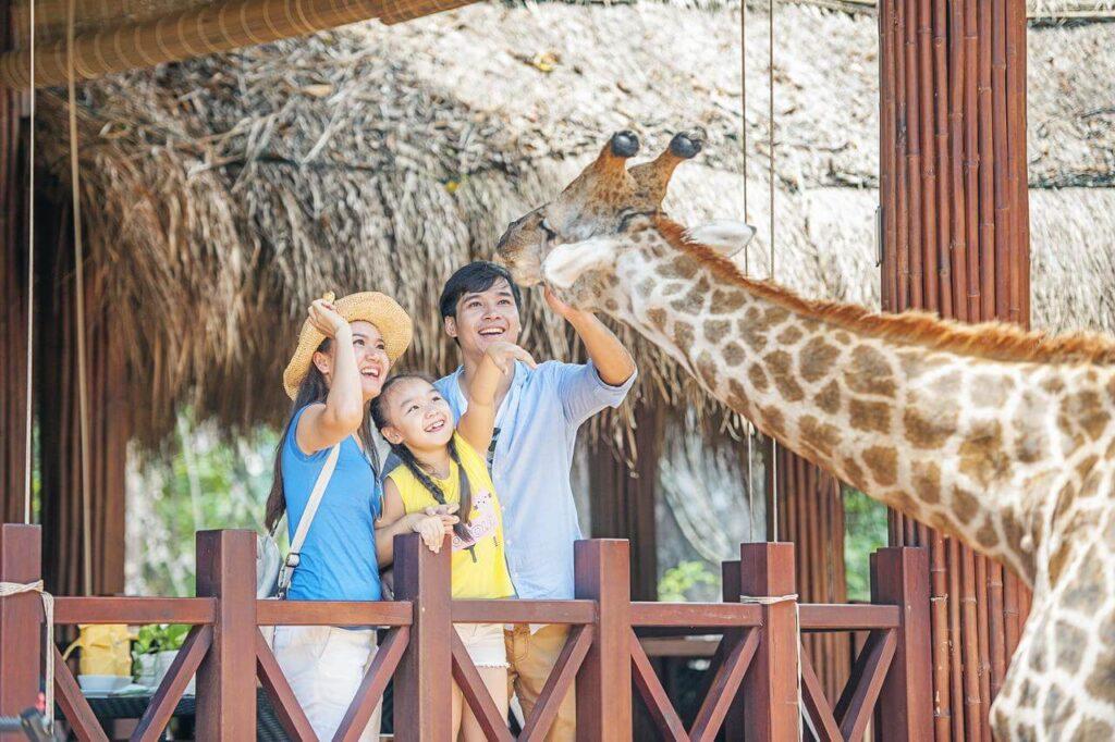 huu-cao-co-vinpearl-safari-phu-quoc